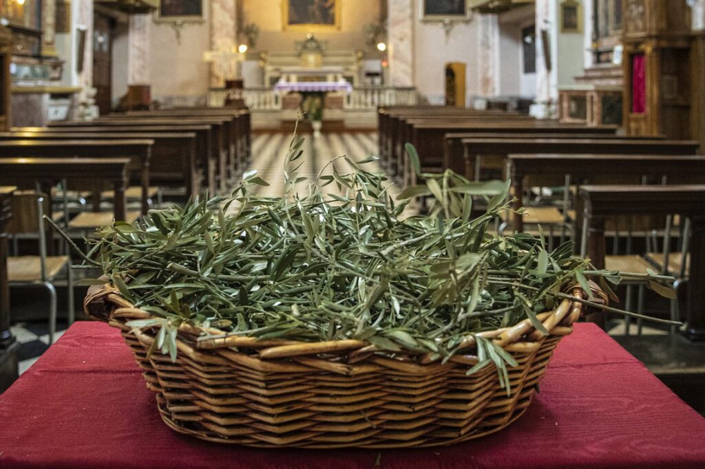 Domenica delle palme – Benedizione degli ulivi Domenica delle palme – Benedizione degli ulivi